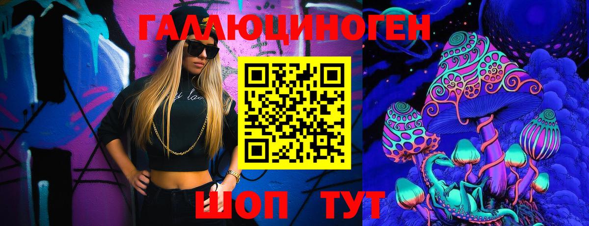 Камышин  где продают   Вход с VPN  Псилоцибиновые грибы прущие грибы 